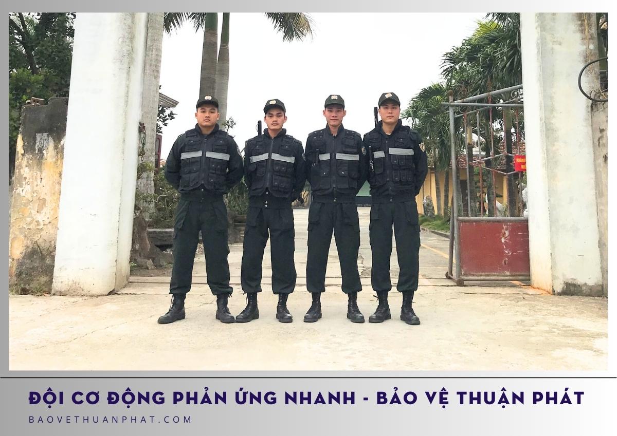 doi co dong phan ung nhanh